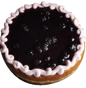 Blackberry Cheesecake